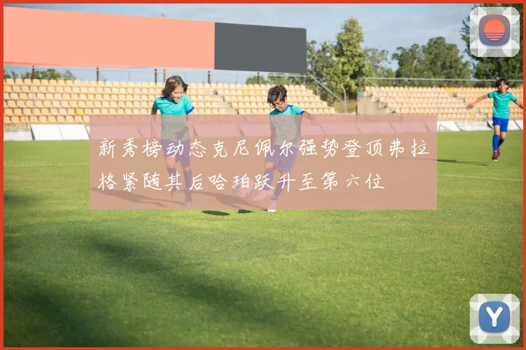 新秀榜动态克尼佩尔强势登顶弗拉格紧随其后哈珀跃升至第六位