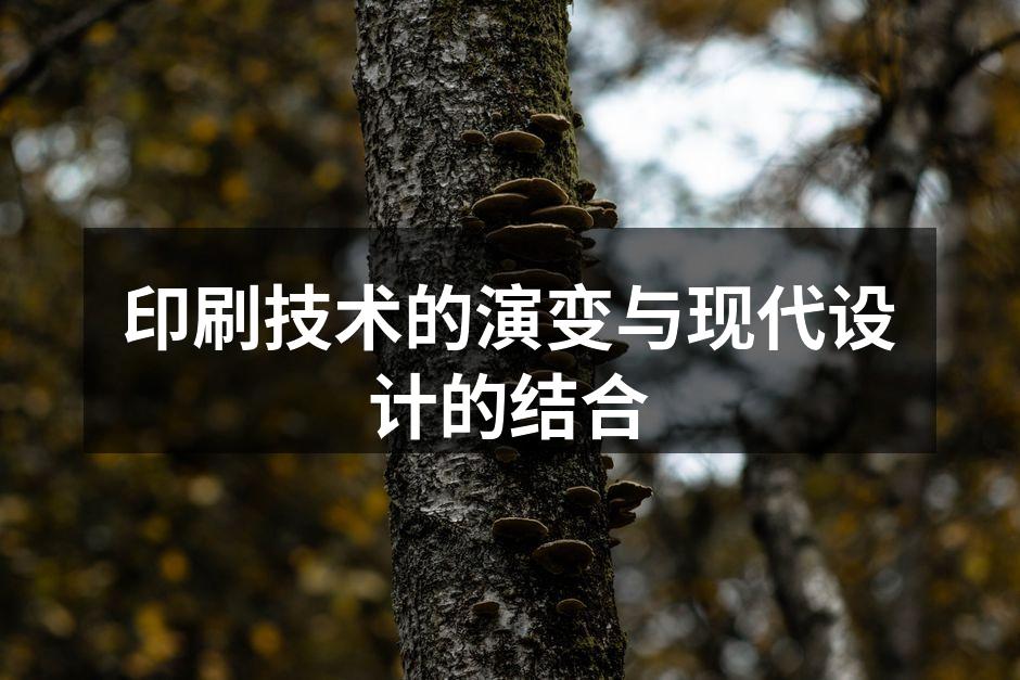 现代数字印刷工艺